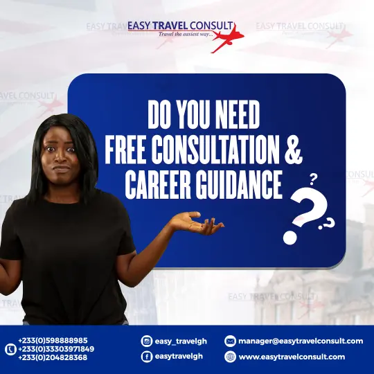 travel consultation career guidance